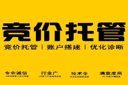 SEM竞价案例：提升搜索引擎排名